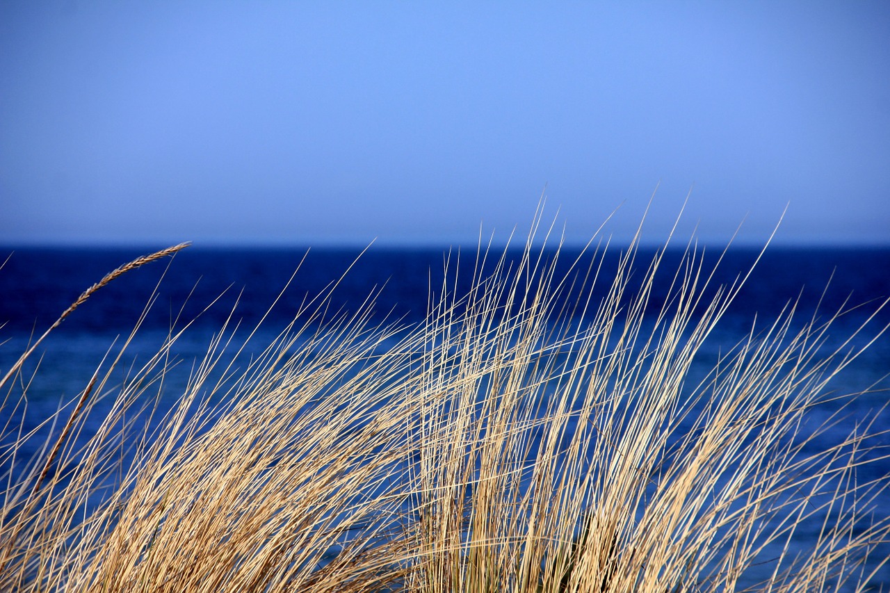 residence torre mozza