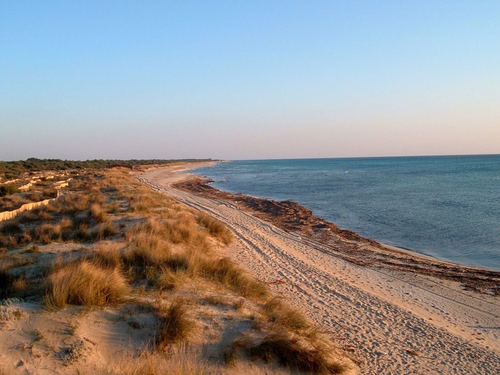 parco litorale di Ugento