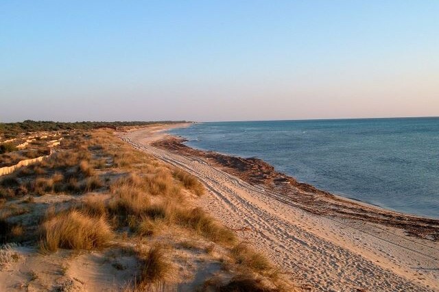 Parco naturale regionale litorale di Ugento