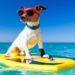 vacanza con animali a Baiadoro
