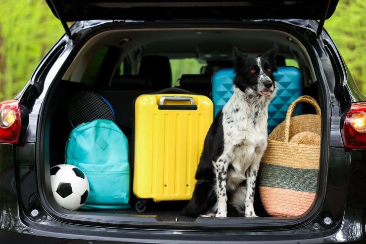 vacanze pet-friendly Torre Mozza Salento
